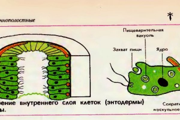 Сайт krn